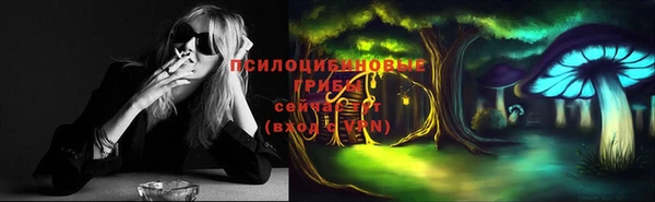 ПСИЛОЦИБИНОВЫЕ ГРИБЫ Абдулино