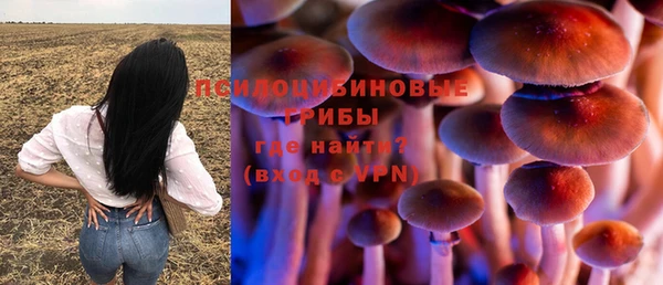 ПСИЛОЦИБИНОВЫЕ ГРИБЫ Абдулино