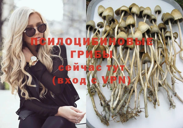 соль курить ск Абаза