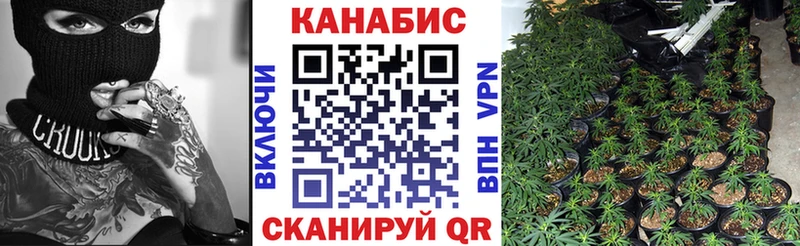 МЕГА tor  дарнет шоп  Лесозаводск  Шишки марихуана OG Kush 